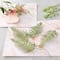 12 Packs: 6ct. (72 total) Green Paper Fern Embellishments by Recollections™